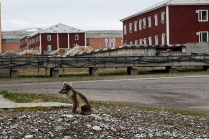 Pyramiden
