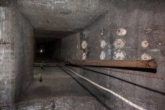 img 3688