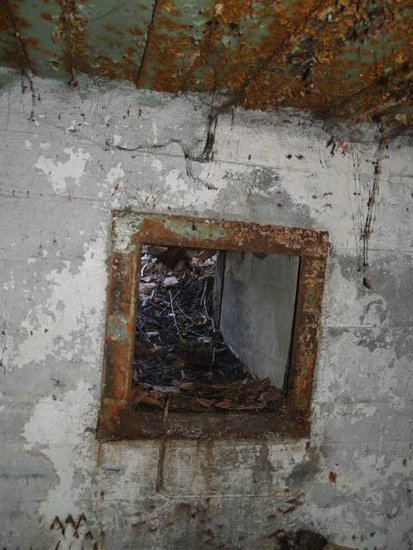 P1014436